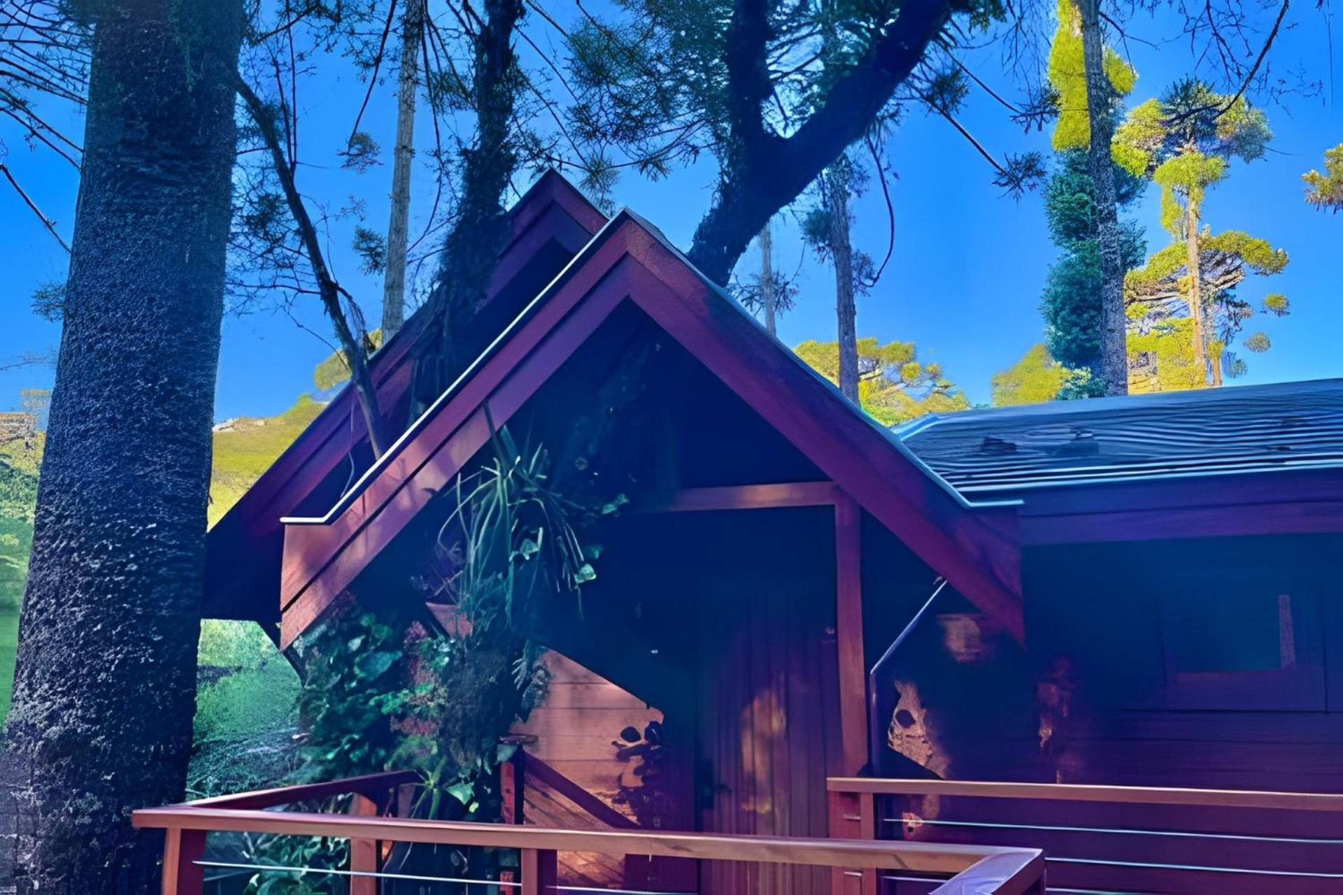 Cabana Suspensa Na Natureza - Regiao Turistica Campos do Jordão 外观 照片